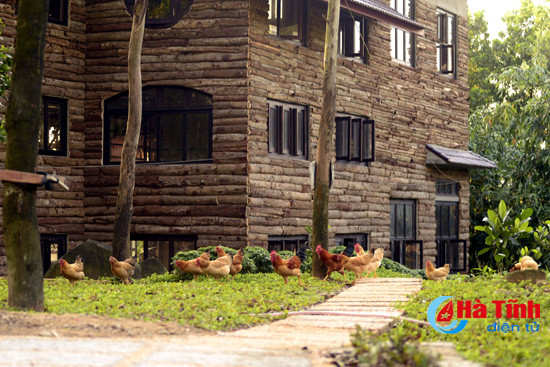 Ngỡ ngàng vẻ đẹp nguyên sơ khu sinh thái nhà vườn ở Hà Tĩnh