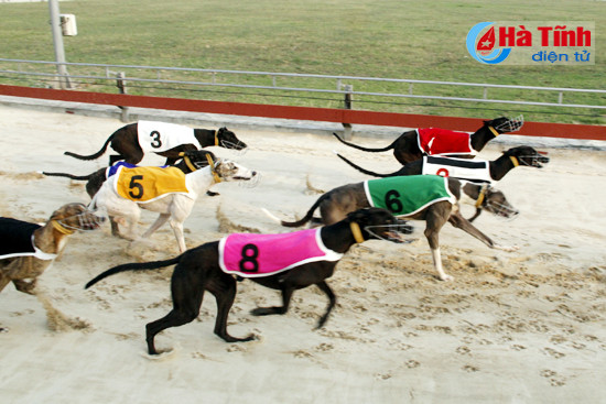 dua san golf xuan thanh nghi xuan vao hoat dong