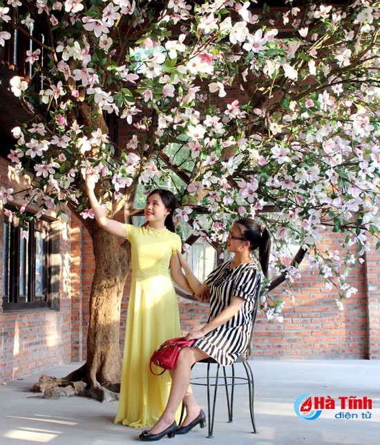 Ngỡ ngàng vẻ đẹp nguyên sơ khu sinh thái nhà vườn ở Hà Tĩnh