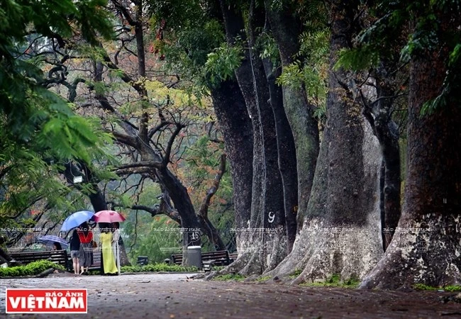 photo ha noi dep diu dang va tho mong trong khoanh khac giao mua