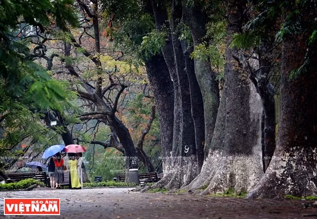 photo ha noi dep diu dang va tho mong trong khoanh khac giao mua