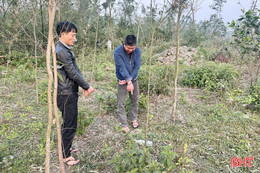 Ra nghĩa trang “chơi” ma tuý, 2 đối tượng bị khởi tố