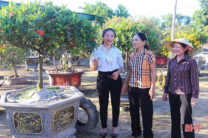 Vườn hoa cây cảnh của anh Quang được nhiều khách hàng gần xa ưa chuộng. sdsdsfwrr.jpg
