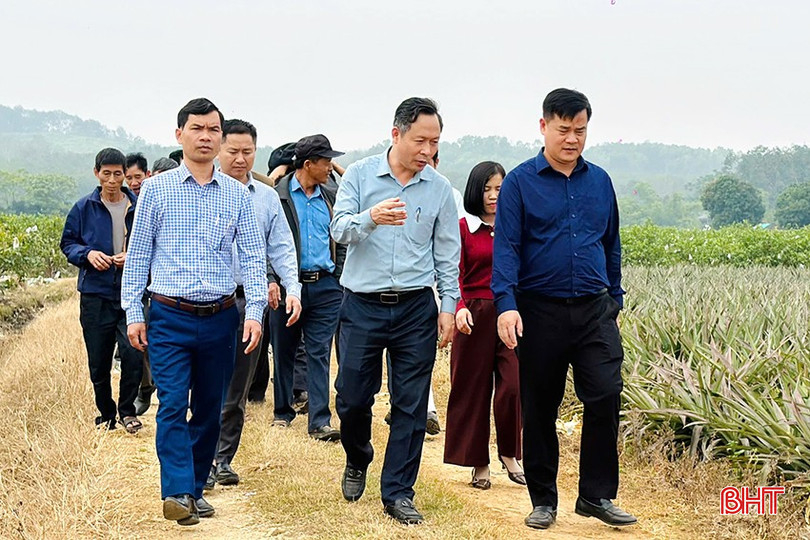 En delegation från Thach Ha kommun besökte och lärde sig om guavaodlingsmodellen i Thach Thanh kommun (Thanh Hoa). bqbht_br_z7298677924189-a6199bab5e35aee39b508b01190780b8.jpg