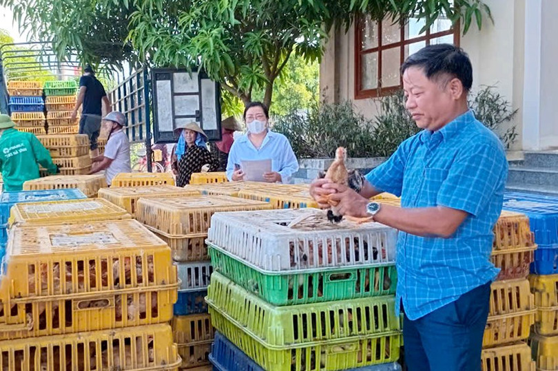 Từ nguồn ngân sách Nhà nước theo chương trình mục tiêu quốc gia giảm nghèo bền vững, nhiều hộ dân ở xã Thạch Ngọc đã được hỗ trợ mô hình nuôi gà. Từ nguồn ngân sách Nhà nước theo chương trình mục tiêu quốc gia giảm nghèo bền vững, nhiều hộ dân ở xã Thạch Ngọc đã được hỗ trợ mô hình nuôi gà.