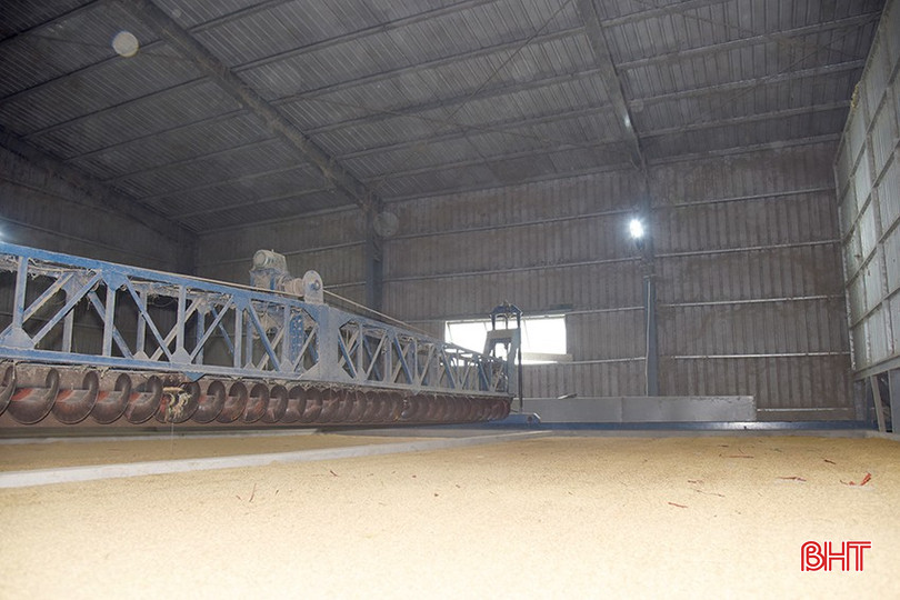 Các lò sấy của HTX Thương mại dịch vụ chế biến nông sản Hạnh Cường (TP Hà Tĩnh) đang hoạt động hết công suất. bqbht_br_dsc-8f888.jpg