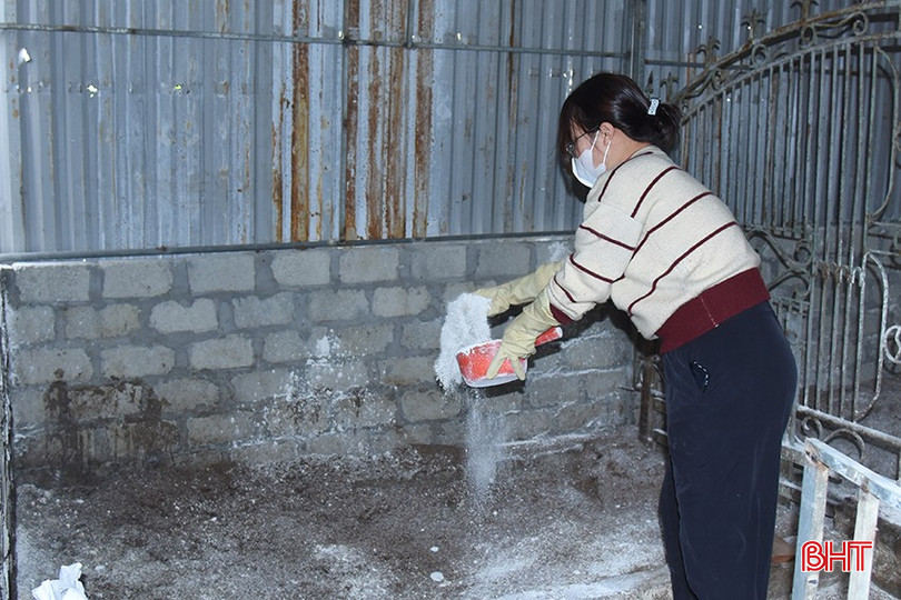 Thực hiện hướng dẫn của ngành chức năng, đến nay gia đình chị Lê Thị Anh, thôn Quang Phú (Thạch Châu) đã tiêu hủy lợn, thực hiện tiêu độc, khử trùng. bqbht_br_dsc-3197-copy.jpg