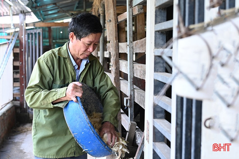 คุณเล ดาญ เตียน เปลี่ยนทิศทางการลงทุนอย่างกล้าหาญสู่การเลี้ยงกวาง bqbht_br_dscd-4278.jpg