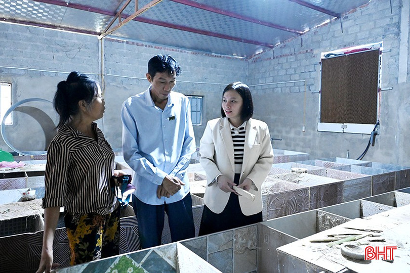 คุณคองเริ่มต้นด้วยหนูไผ่ 10 คู่ และหลังจากผ่านไปกว่า 1 ปี กลุ่มก็เติบโตขึ้นเป็น 60 คู่ bqbht_br_dsc-4d312.jpg