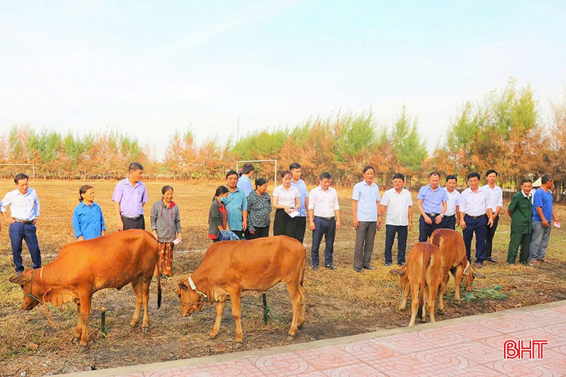 4a359a0f-987f-4778-be3e-83eb00a4e85c (1).jpeg