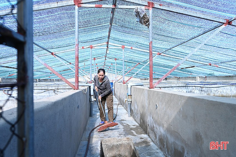 HTX nuôi trồng thủy sản Hải Tuyết đã có 3 lần vay vốn từ Quỹ. bqbht_br_dsc-7974.jpg