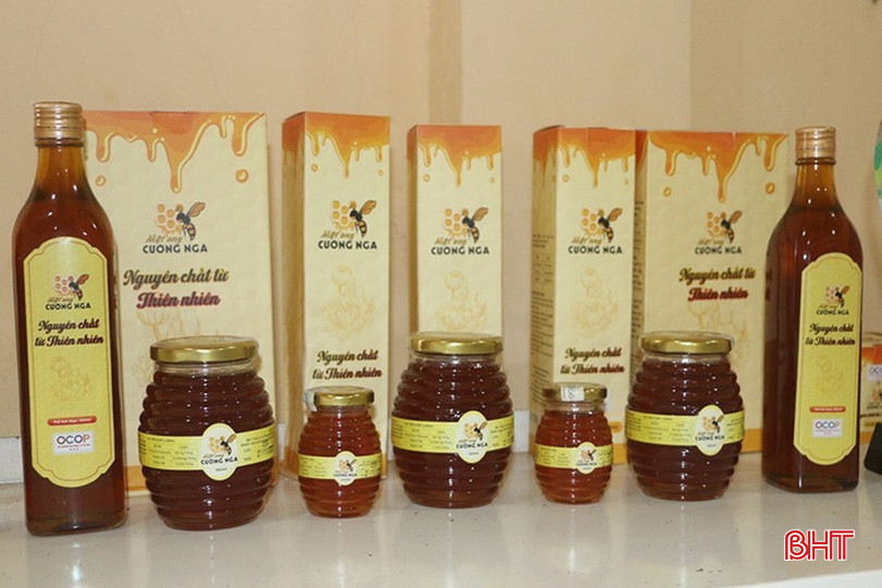 bqbht_br_image-2.jpg