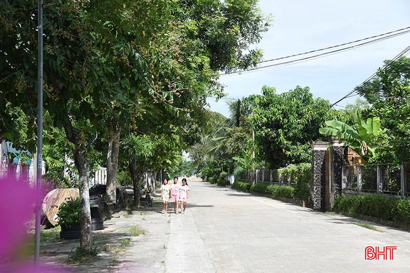 Thôn Triều Đông giữ vững là đơn vị tốp đầu trong phong trào của xã có vai trò đóng góp lớn từ bà Mai. DsSC_9135.jpg