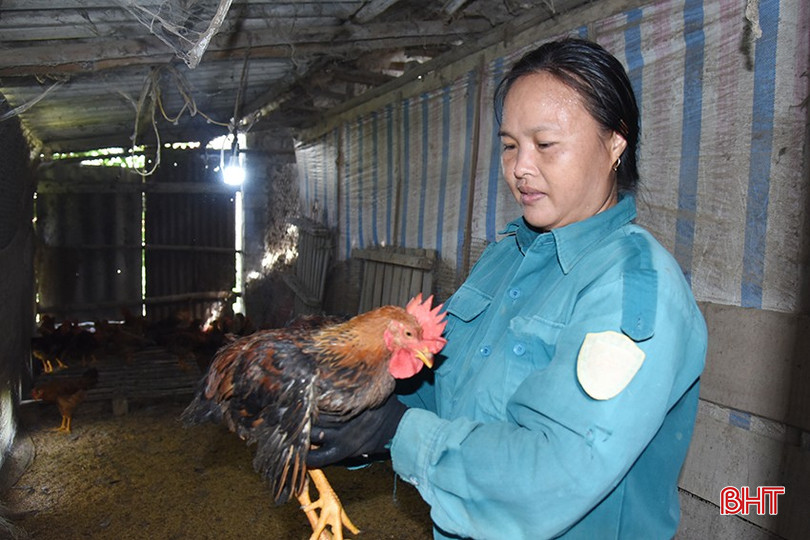 Tham gia khóa học, chị Hạnh biết cách áp dụng tiến bộ khoa học kỹ thuật vào việc chăn nuôi gà. DSC_9s857.jpg