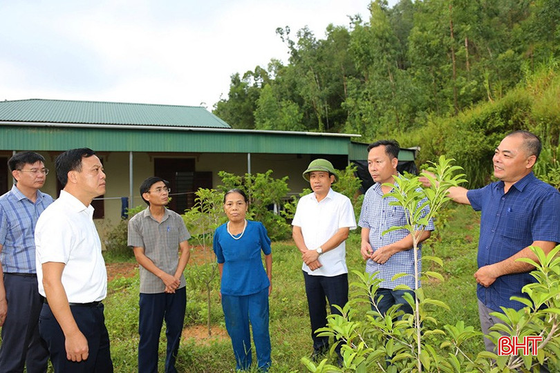 Lãnh đạo huyện Thạch Hà kiểm tra, chỉ đạo xã Đỉnh Bàn chủ động phương án để di dời các hộ dân sinh sống ở dưới chân núi, vùng nguy cơ sạt lở cao tại thôn Tân Phong về nơi tránh trú an toàn khi mưa lớn xảy ra. dsds.jpg