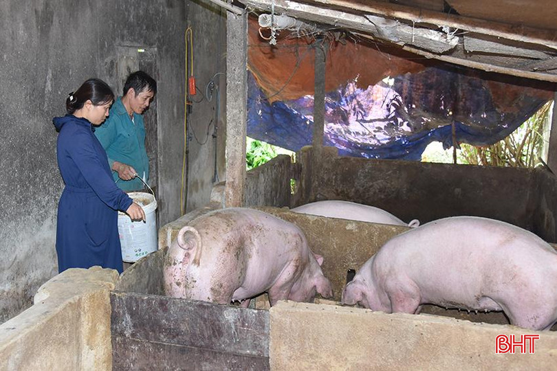 Cán bộ khuyến nông xã Thạch Đài hướng dẫn người dân các biện pháp phòng, chống dịch tả lợn châu Phi. DSC_s0434.jpg