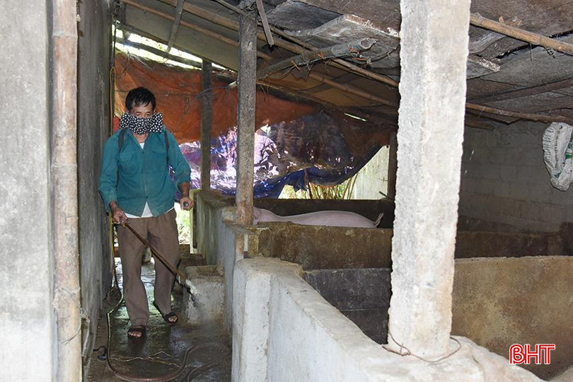 UBND huyện Thạch Hà đã kịp thời hỗ trợ gần 400 lít hóa chất cho 10 xã và 6 cơ sở giết mổ gia súc để phun tiêu độc khử trùng ở các khu vực chăn nuôi và khu vực giết mổ. sDSC_0405.jpg