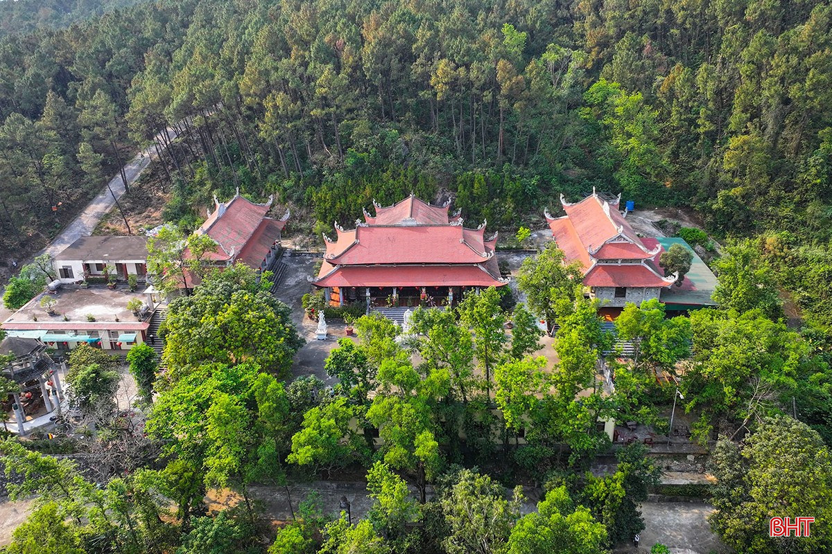 Tự hào nguồn cội