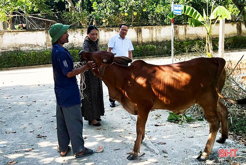 Mô hình sinh kế trao tặng bò cho các hộ nghèo ở huyện Đức Thọ đã và đang phát huy hiệu quả. 888.jpg