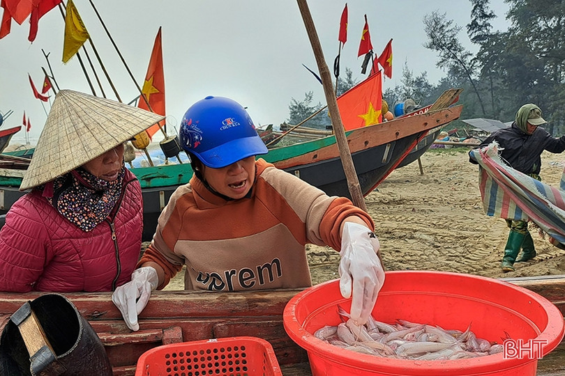 Đắt như... cá cháo ngày cuối năm ở Nghi Xuân