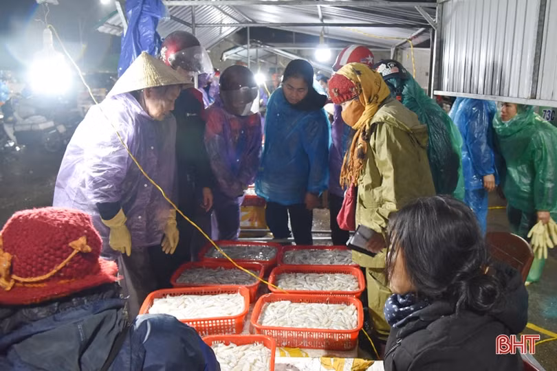 Bến cá Thạch Kim sôi động những ngày giáp tết