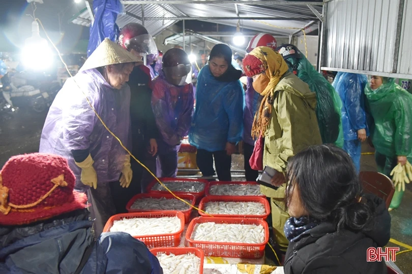 Bến cá Thạch Kim sôi động những ngày giáp tết