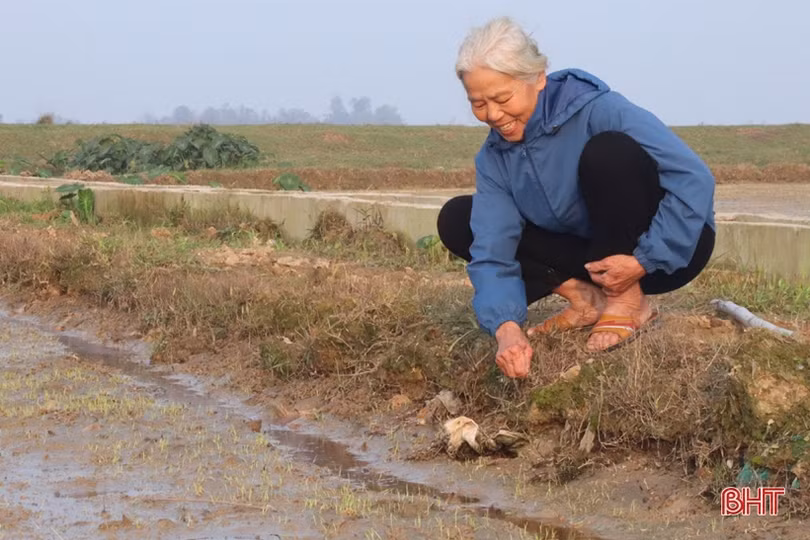 Người dân miền núi Hà Tĩnh “xông đất” lấy may ngày đầu năm mới