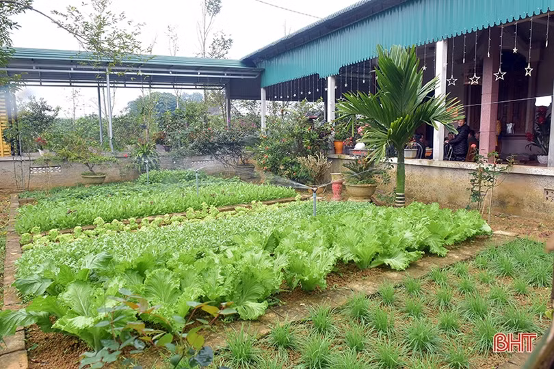 Về khu dân cư kiểu mẫu thông minh ở Hương Khê ngày đầu xuân