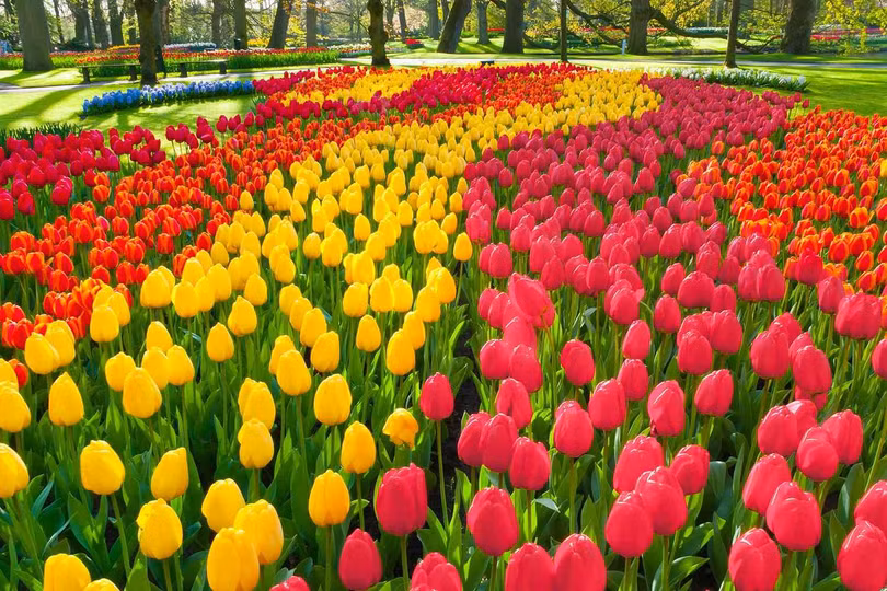 Những điểm đến đặc trưng theo màu sắc năm 2023