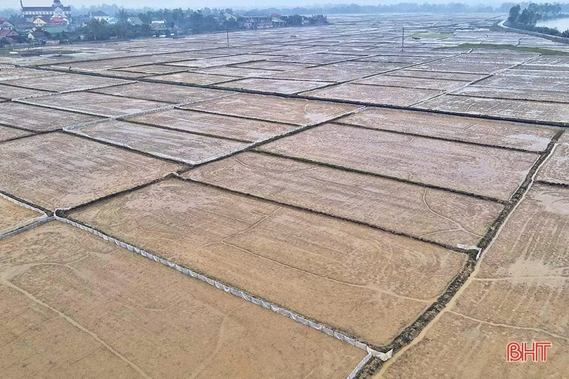 Những mầm xanh vụ mới ở Hà Tĩnh