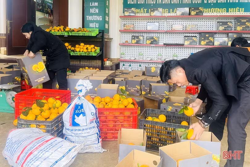 Sản phẩm nông nghiệp Hà Tĩnh đắt hàng, được giá