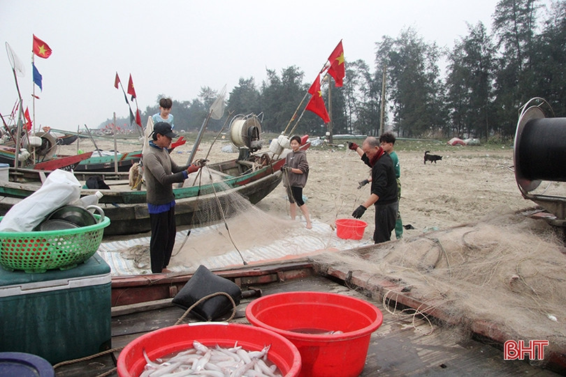 Đắt như... cá cháo ngày cuối năm ở Nghi Xuân