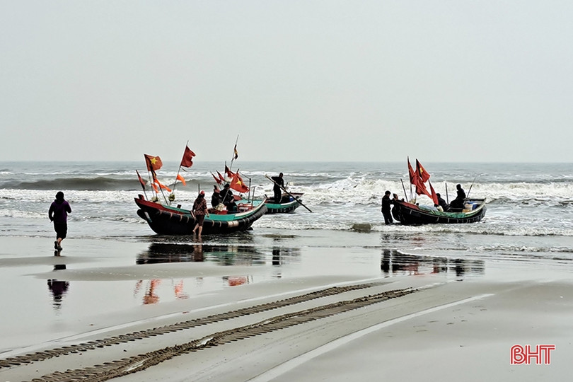 Đắt như... cá cháo ngày cuối năm ở Nghi Xuân