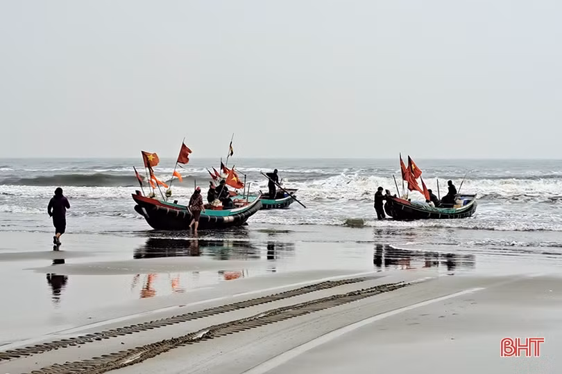 Đắt như... cá cháo ngày cuối năm ở Nghi Xuân