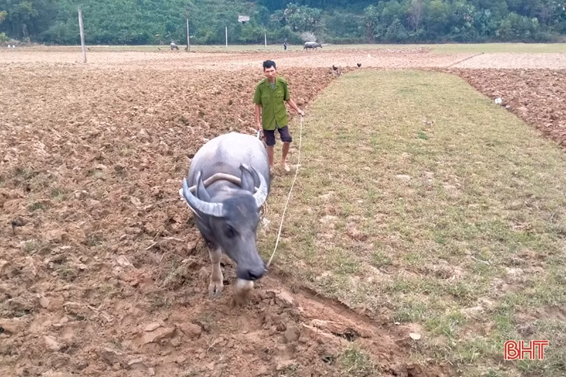 Người dân miền núi Hà Tĩnh “xông đất” lấy may ngày đầu năm mới