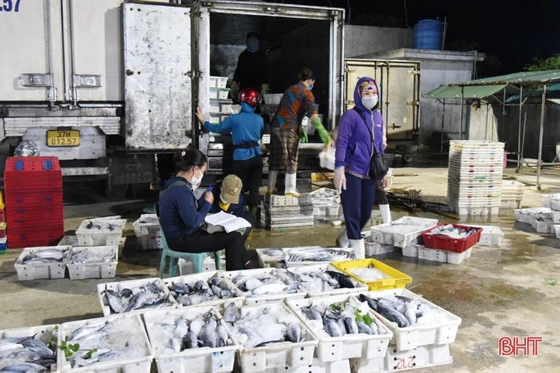 Bến cá Thạch Kim sôi động những ngày giáp tết