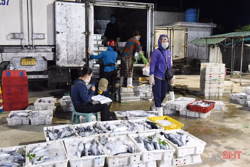 Bến cá Thạch Kim sôi động những ngày giáp tết