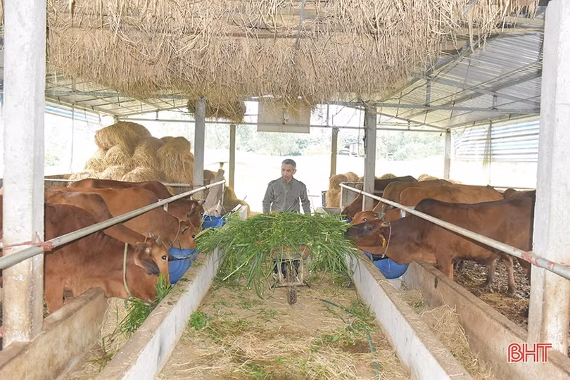 Hương Khê - miền quả ngọt!