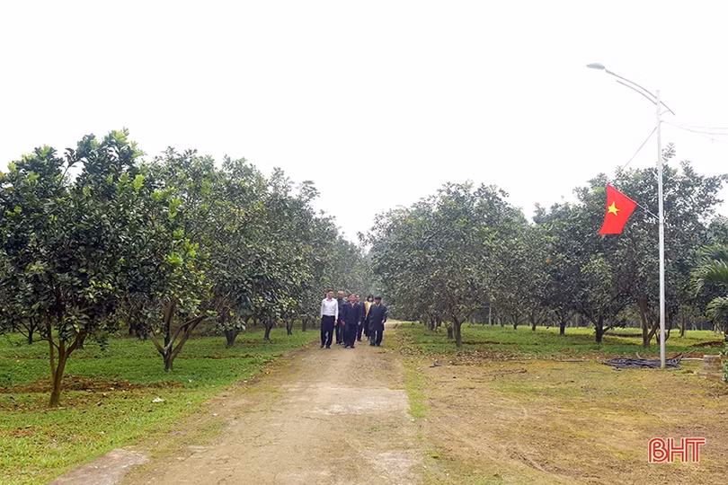 Về khu dân cư kiểu mẫu thông minh ở Hương Khê ngày đầu xuân