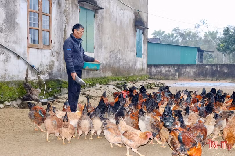 Sản phẩm nông nghiệp Hà Tĩnh đắt hàng, được giá