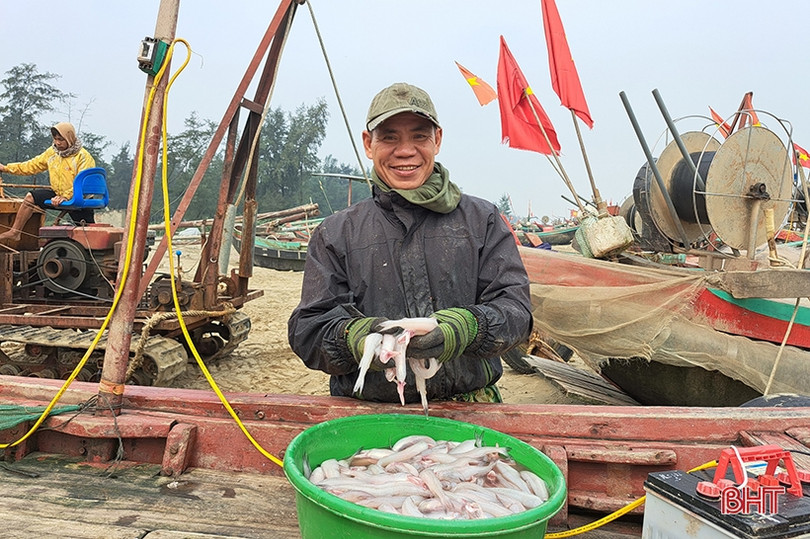 Đắt như... cá cháo ngày cuối năm ở Nghi Xuân