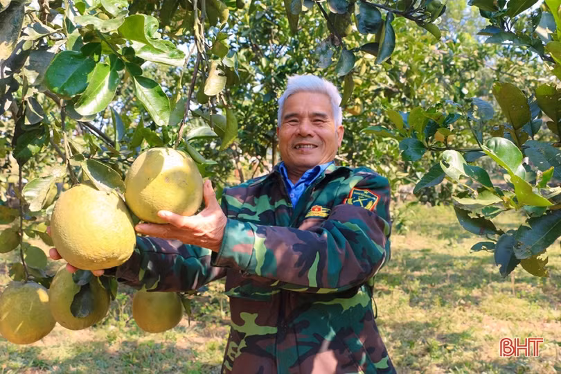 Sắc thắm Vũ Quang