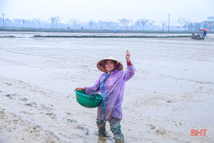 Những mầm xanh vụ mới ở Hà Tĩnh