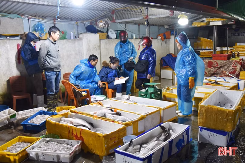 Bến cá Thạch Kim sôi động những ngày giáp tết