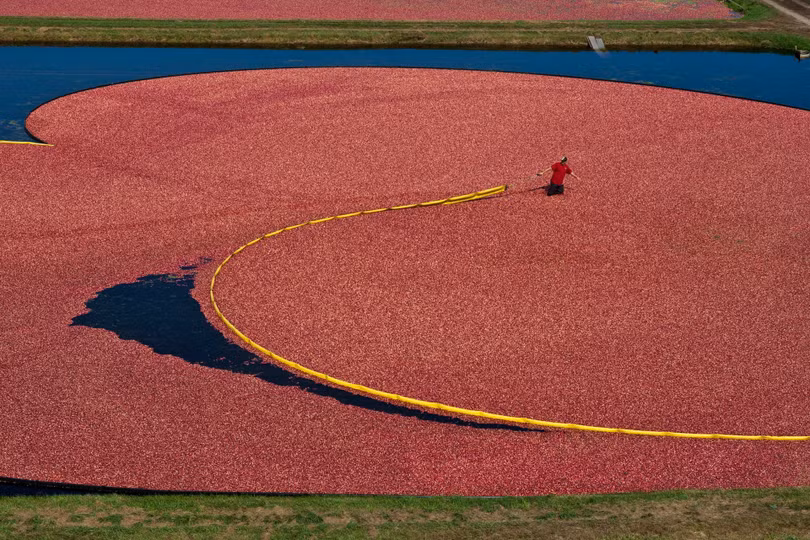 Những điểm đến đặc trưng theo màu sắc năm 2023