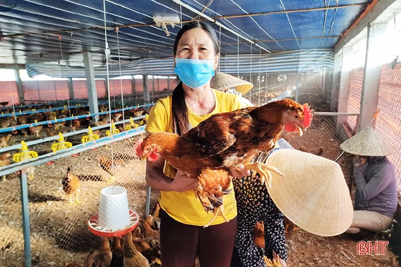 Cuộc “cách mạng” mới trên đồng ruộng Lộc Hà