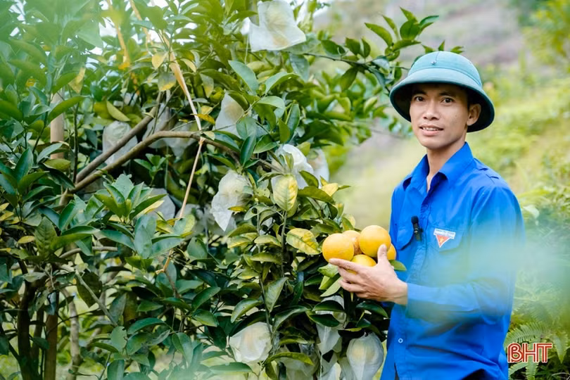 Sắc thắm Vũ Quang