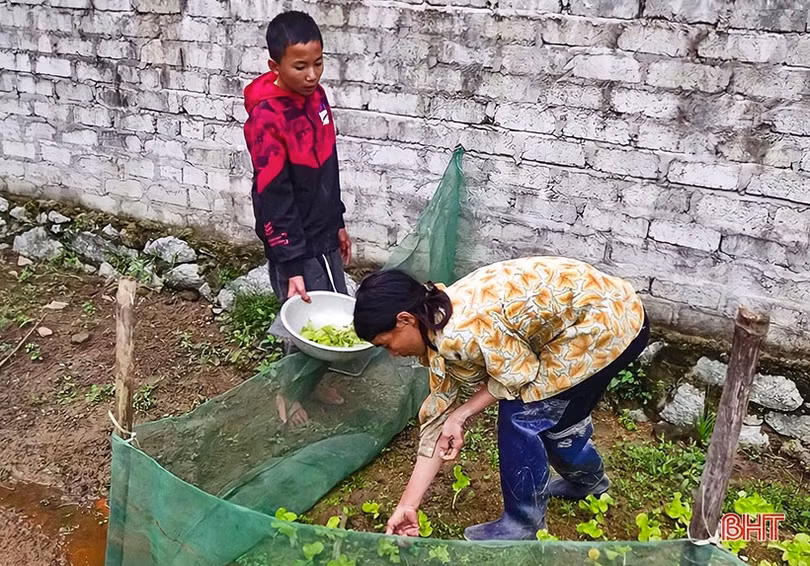 MS2302: Tương lai mịt mờ của gia đình có 4 người bệnh tật, già yếu ở Nghi Xuân