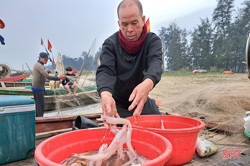 Đắt như... cá cháo ngày cuối năm ở Nghi Xuân