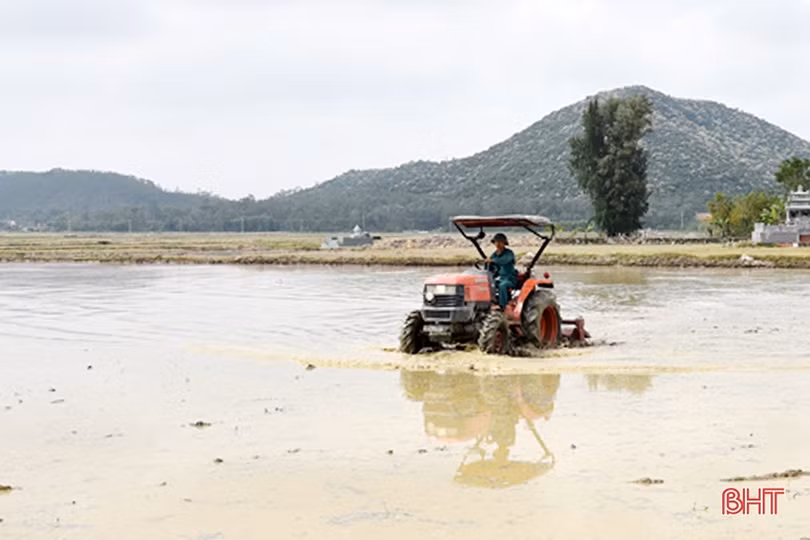 Cuộc “cách mạng” mới trên đồng ruộng Lộc Hà
